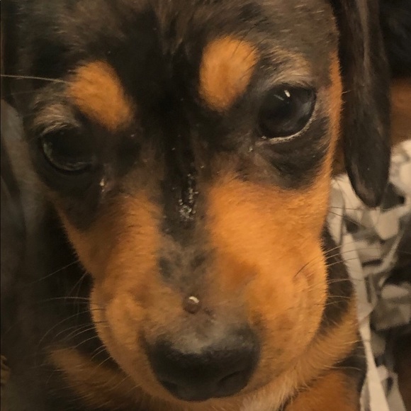 Meet your Posher, Jonathan - Picture 1 of 1